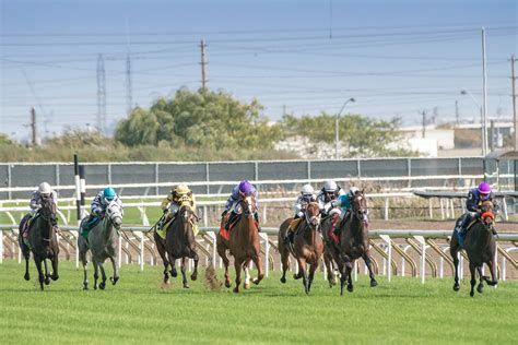Trifecta Betting In Horse Racing (How It Works).